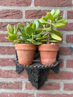Set van 2 mooie gietijzeren wand plantenrekjes, Ophalen of Verzenden, Gebruikt