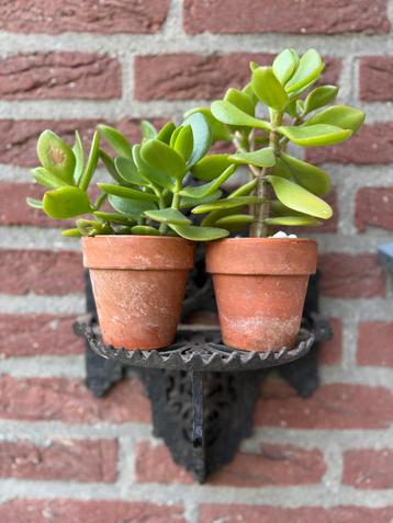 Set van 2 mooie gietijzeren wand plantenrekjes beschikbaar voor biedingen