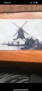 Wormer, oliemolen de Mol, Ophalen of Verzenden, Voor 1940, Zo goed als nieuw