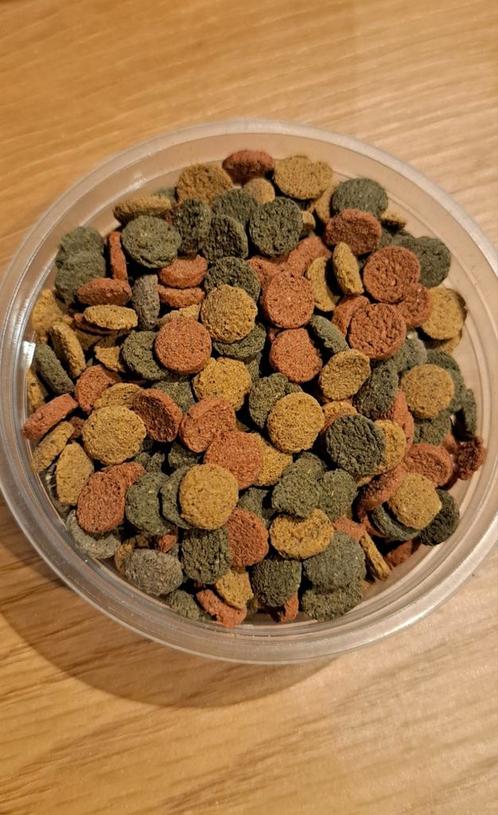 Wafels visvoer, Dieren en Toebehoren, Vissen | Aquariumvissen, Vis