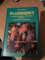 Paardrijden - Heidrun Werner, Ophalen of Verzenden, Gelezen, Paarden of Pony's, Heidrun Werner
