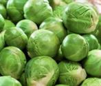 Spruitjes zaden, Verzenden, Zaad