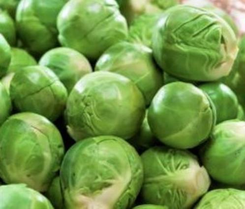 Spruitjes zaden, Tuin en Terras, Bloembollen en Zaden, Zaad, Verzenden