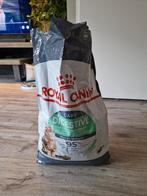 Royal Canin Digestive Care 10kg brokken kattenvoer, Ophalen, Nieuw