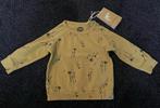 Z8 Shirt Wayne Maat 62 Nieuw, Jongetje of Meisje, Z8, Nieuw, Ophalen of Verzenden