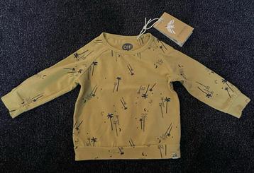 Z8 Shirt Wayne Maat 62 Nieuw beschikbaar voor biedingen