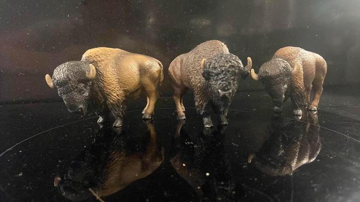 Schleixh Wild West: Bizons, Verzamelen, Poppetjes en Figuurtjes, Zo goed als nieuw, Ophalen of Verzenden