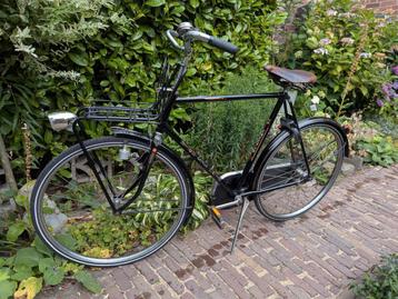 Gazelle Cheetah beschikbaar voor biedingen