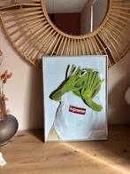 Supreme / kermit met lijst, Antiek en Kunst, Kunst | Schilderijen | Modern, Ophalen of Verzenden