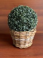 Kunstplant in rieten pot, Ophalen of Verzenden, Gebruikt, Binnen