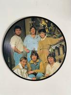 BZN - If I Say the Words Picture Disc 7" Vinyl, Ophalen of Verzenden, Zo goed als nieuw, Overige formaten