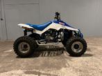Suzuki LT500R Quadzilla 500 2 Takt NL kenteken, Motoren, Quads en Trikes, 499 cc, Meer dan 35 kW, 1 cilinder