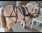 Mentuig mini pony rood zwart biothaan, Dieren en Toebehoren, Paarden en Pony's | Hoofdstellen en Tuigage, Ophalen of Verzenden