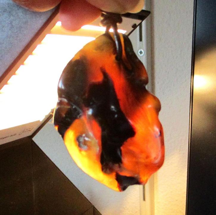 Barnsteen blauw - 62x43x24mm, Verzamelen, Mineralen en Fossielen, Mineraal, Ophalen of Verzenden