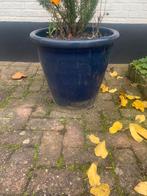 Bloempot plantenbak, Kunststof, 40 cm of meer, Rond, Ophalen of Verzenden