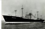 M.S. Bodenstein, Verzamelen, Scheepvaart, Ophalen of Verzenden, Zo goed als nieuw, Motorboot, Kaart, Foto of Prent