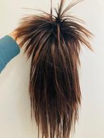 Rock-Punk Pruik – Stekelig Lang Haar, Maat 38/40 (M), Carnaval, Ophalen of Verzenden, Zo goed als nieuw