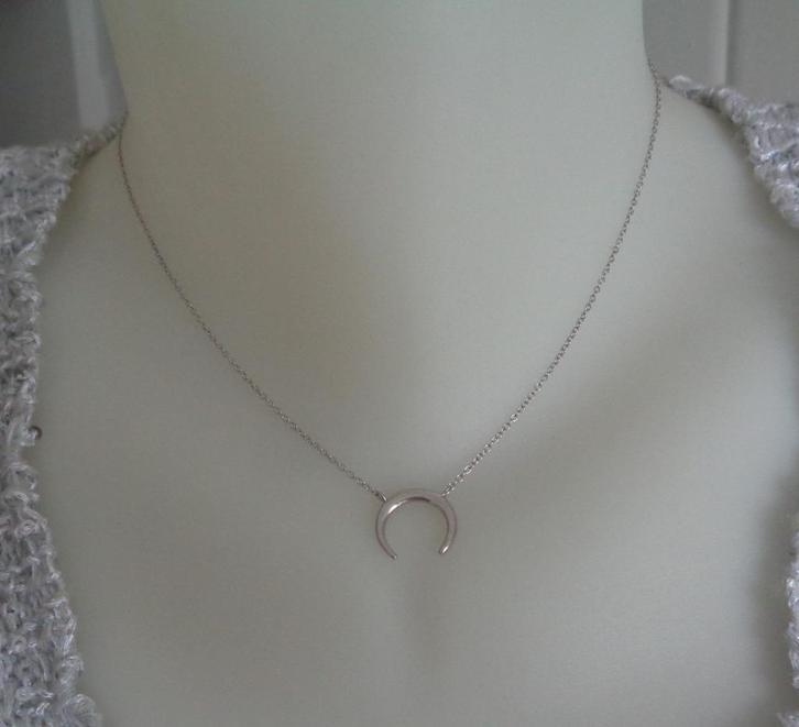 zilveren ketting met hoefijzer hanger [083], Sieraden, Tassen en Uiterlijk, Kettingen, Zo goed als nieuw, Zilver, Zilver, Met hanger