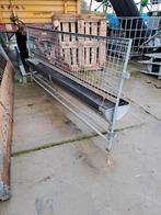 Hek met PVC voergoot, Meerdere dieren, Schaap