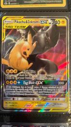 Pikachu & Zekrom GX, Hobby en Vrije tijd, Verzamelkaartspellen | Pokémon, Ophalen of Verzenden, Nieuw, Losse kaart, Foil