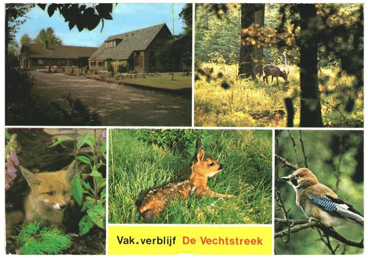 909950 Hardenberg Ov 1979 gel in 81 de Vechtstreek Gelopen, Verzamelen, Ansichtkaarten | Nederland, Gelopen, Overijssel, 1960 tot 1980