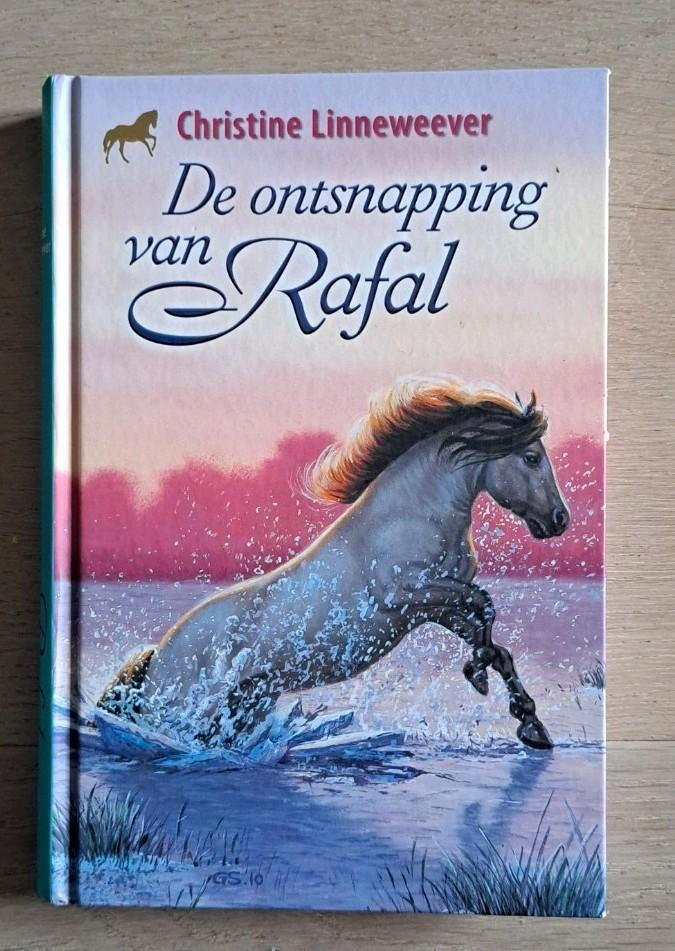 Christine Linneweever - De ontsnapping van Rafal, Boeken, Kinderboeken | Jeugd | 10 tot 12 jaar, Zo goed als nieuw, Fictie, Ophalen of Verzenden