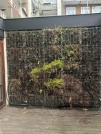 plantenwand zinken bakken incl irrigatie Rain Bird, Ophalen of Verzenden, Gebruikt