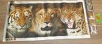 Diamond Painting (Vol Rond) 40x80, Hobby en Vrije tijd, Knutselen, Ophalen of Verzenden, Nieuw, Knutselwerk