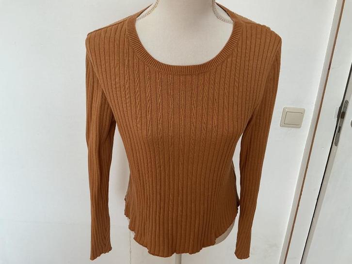 Monkl korte trui L camel, Kleding | Dames, Truien en Vesten, Zo goed als nieuw, Maat 38/40 (M), Bruin, Ophalen of Verzenden