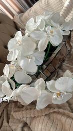 bloemen vaas, Ophalen of Verzenden, Zo goed als nieuw, Accessoires