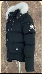 Moose Knuckles Nieuwe Winterjas, Ophalen of Verzenden, Nieuw, Zwart