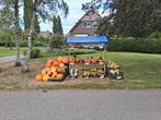 Pompoenen en Kalebassen, Ophalen