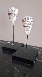 Set echte bruin witte conusschelpen op voet vakkenkast, Huis en Inrichting, Nieuw, Ophalen of Verzenden, X, X