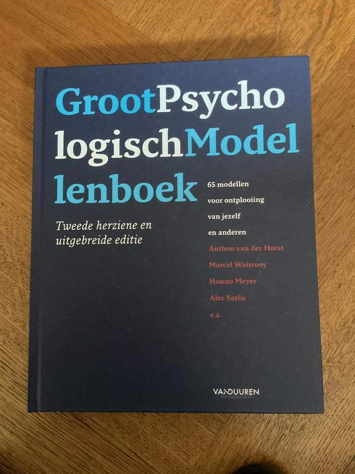 GROOT PSYCHOLOgishmodellenboek, Boeken, Studieboeken en Cursussen, Nieuw, HBO, Beta, Ophalen of Verzenden
