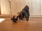 Schleich apen, Verzamelen, Dierenverzamelingen, Ophalen of Verzenden, Nieuw, Paard, Beeldje of Figuurtje