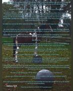 Stalling aangeboden, Dieren en Toebehoren, Stalling en Weidegang, Weidegang, 2 of 3 paarden of pony's