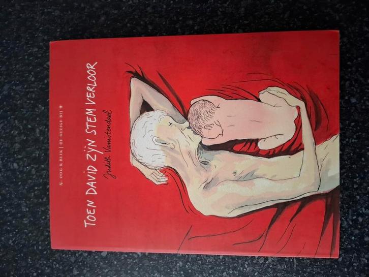 Judith Vanistendael - Toen David zijn stem verloor, Boeken, Stripboeken, Zo goed als nieuw, Eén stripboek, Ophalen of Verzenden