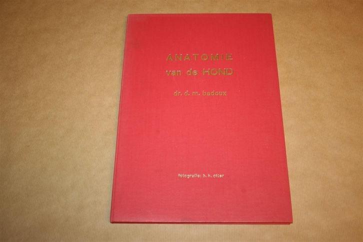 Anatomie van de hond, Boeken, Dieren en Huisdieren, Zo goed als nieuw, Honden, Ophalen of Verzenden