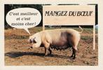 Varken Managez du Boeuf 63, Verzamelen, Ansichtkaarten | Dieren, Ophalen of Verzenden, 1980 tot heden, Gelopen, Overige soorten