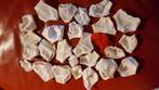 Vintage Barbie Sindy Fleur Daisy Tienerpop broekjes Shorts., Ophalen of Verzenden, Zo goed als nieuw, Overige materialen, Overige voorstellingen