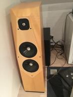 Avalon ascendant mk2  of N, Zo goed als nieuw, 120 watt of meer, Front, Rear of Stereo speakers, Ophalen