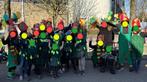 Loopgroep carnavalsoptocht - 13 volwassenen 10 kinderen, Ophalen, Gebruikt, Kostuum, Carnaval