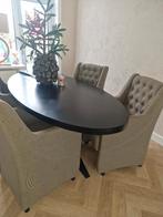 Ovale eettafel, Huis en Inrichting, Tafels | Eettafels, Ophalen, Gebruikt, 100 tot 150 cm, 200 cm of meer