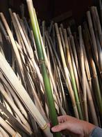 Bamboestokken 1,90m lang, Tuin en Terras, Palen, Balken en Planken, Ophalen, 250 cm of meer, Palen