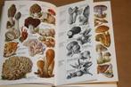 Paddestoelen zoeken. Dr. G. Amann., Ophalen of Verzenden, Gelezen, Bloemen, Planten en Bomen