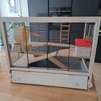 KOOI/HOK Met uitschuifbaar onderbak.Met toebehoren, Dieren en Toebehoren, Ophalen of Verzenden, Zo goed als nieuw, Hout, Overige typen