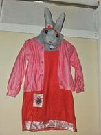 Verkleedpak van lily van pieter konijn 4-6 jaar, Ophalen of Verzenden