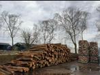 Gedroogd eikenhout vers eventueel ook eiken klossen, 6 m³ of meer, Ophalen, Eikenhout, Blokken
