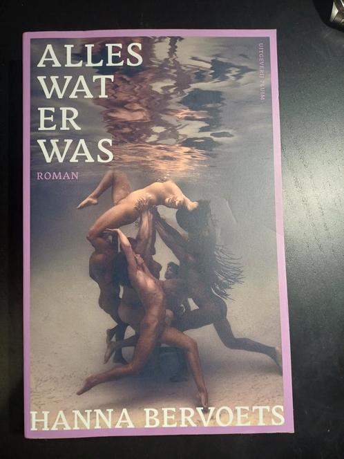 Hanna Bervoets - Alles wat er was, Boeken, Literatuur, Zo goed als nieuw, Nederland, Ophalen of Verzenden