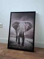 Zwart-wit foto van een olifant in lijst, Huis en Inrichting, Woonaccessoires | Schilderijen, Tekeningen en Foto's, Ophalen of Verzenden